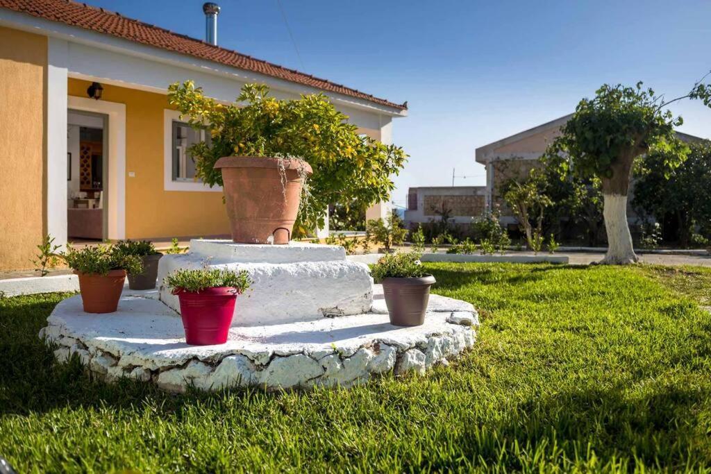 Irene'S House Βίλα Λάσση Εξωτερικό φωτογραφία
